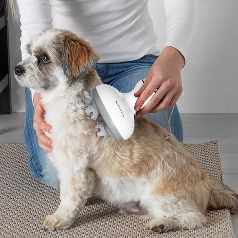 무선 방수 전기 헤어 헤드 두피 마사지기 (고양이/강아 - Scalp Massager Electric 리뷰 및 가격
