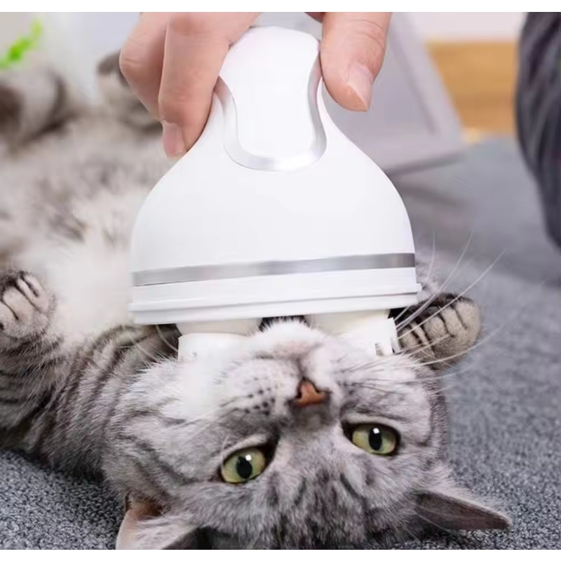 고양이 스마트 자동 실리콘 충전식 전동 머리 마사지기  - Scalp Massager Electric 리뷰 및 가격